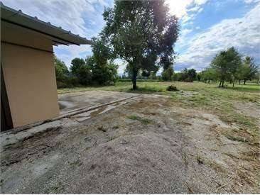 immagine annuncio 6 di 8