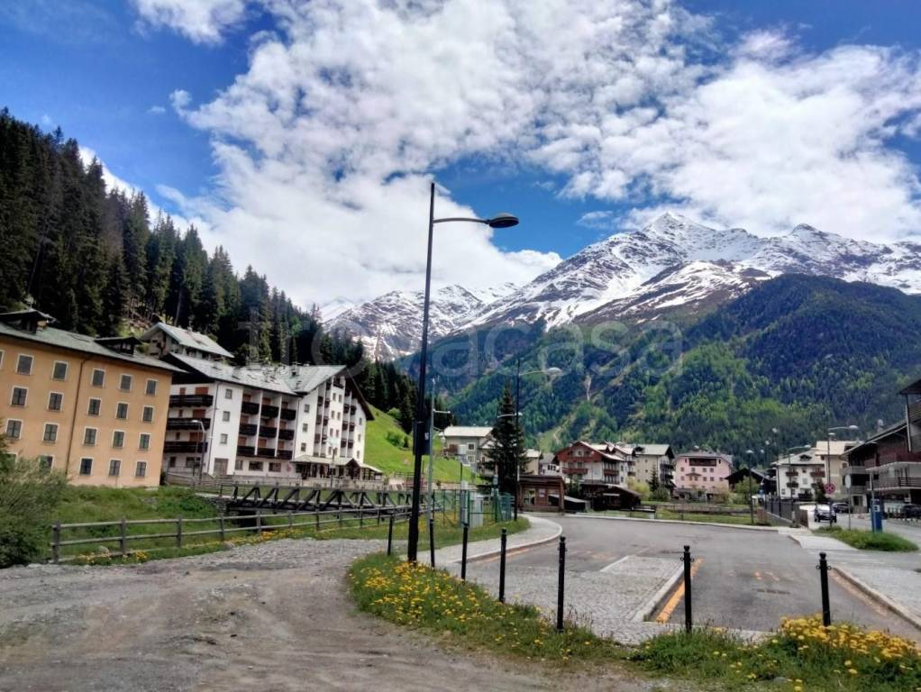 immagine annuncio 1 di 8