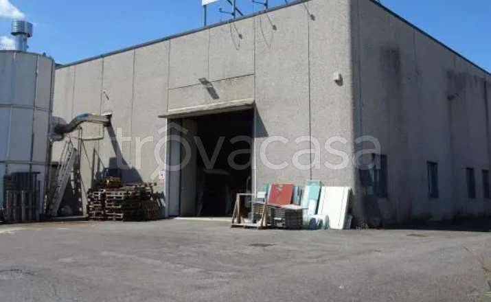 immagine annuncio 3 di 12