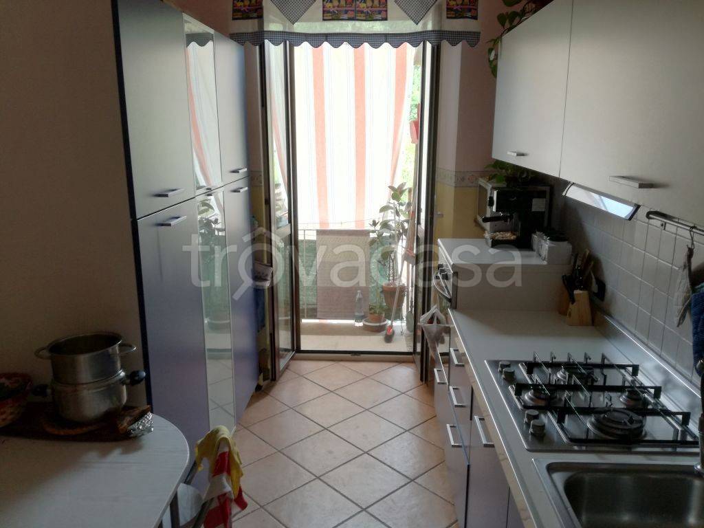 immagine annuncio 3 di 12