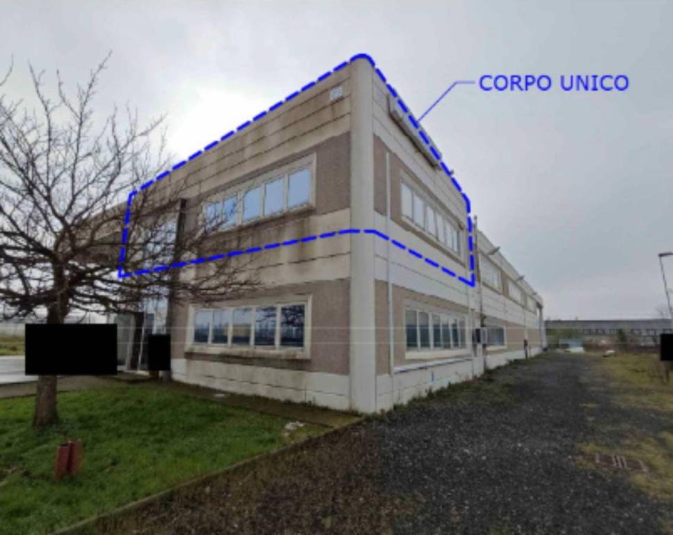 immagine annuncio 1 di 12