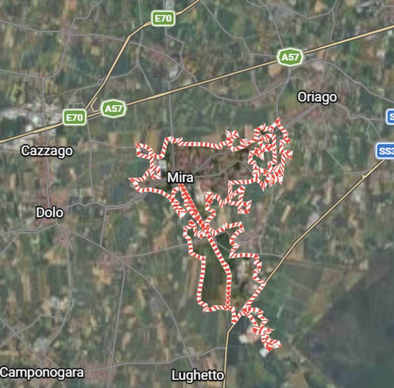 immagine annuncio 1 di 14