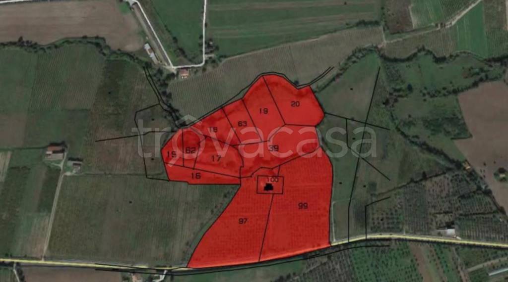 immagine annuncio 5 di 10