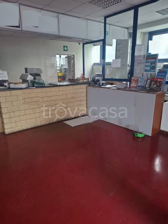 immagine annuncio 4 di 6