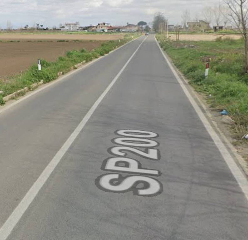 immagine annuncio 6 di 11