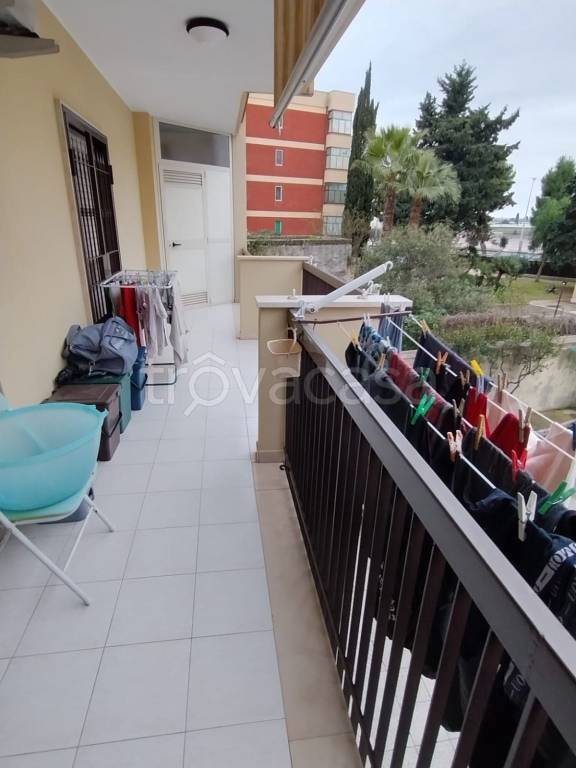 immagine annuncio 12 di 14