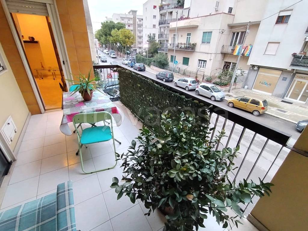 immagine annuncio 9 di 14