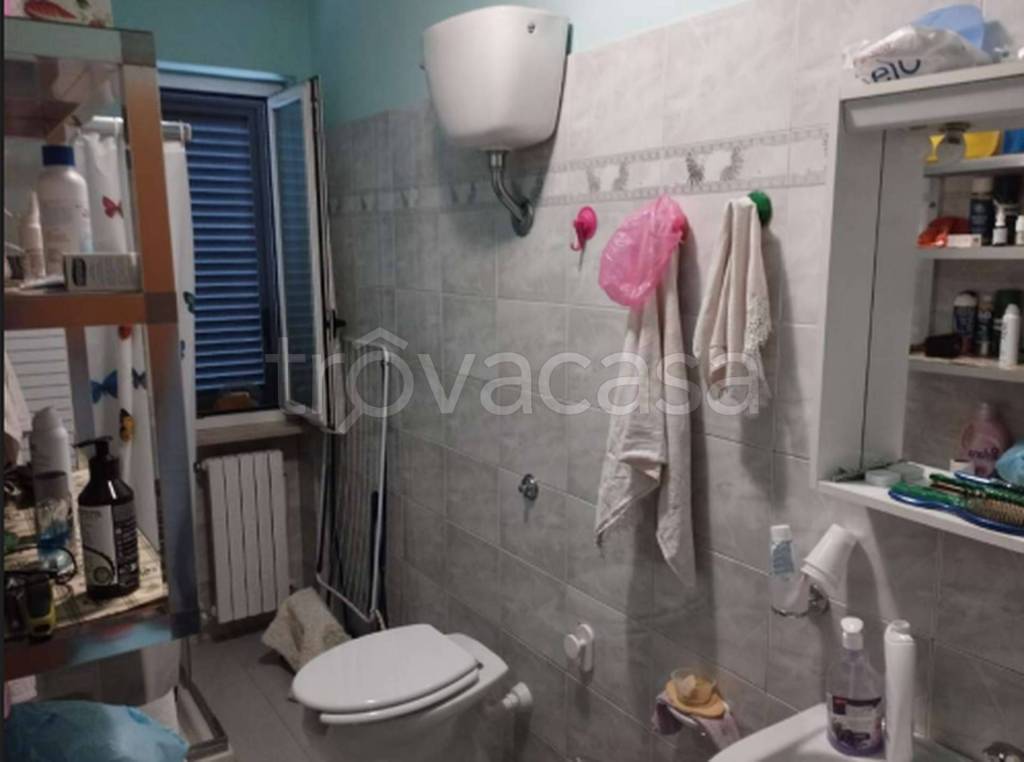 immagine annuncio 12 di 14