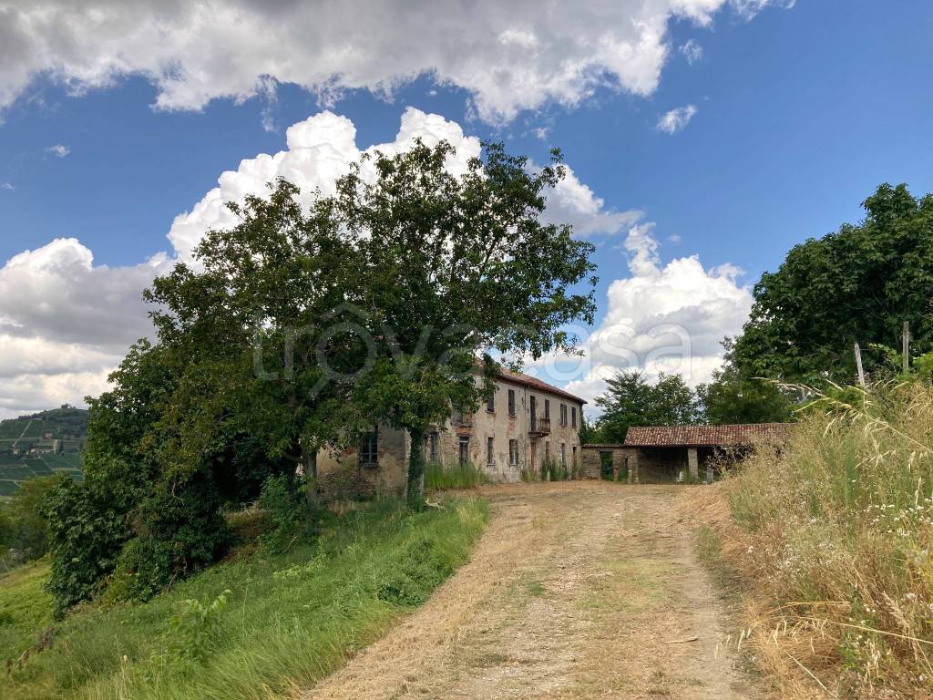 immagine annuncio 2 di 4