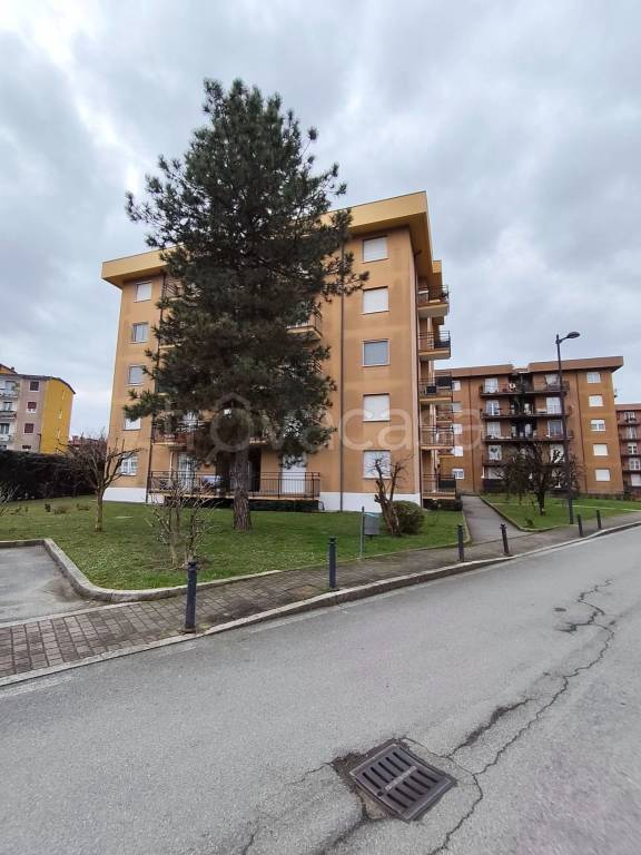 immagine annuncio 11 di 12