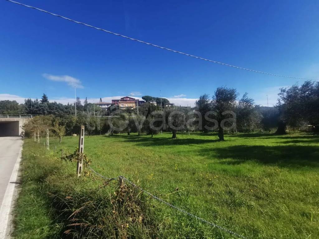 immagine annuncio 1 di 14