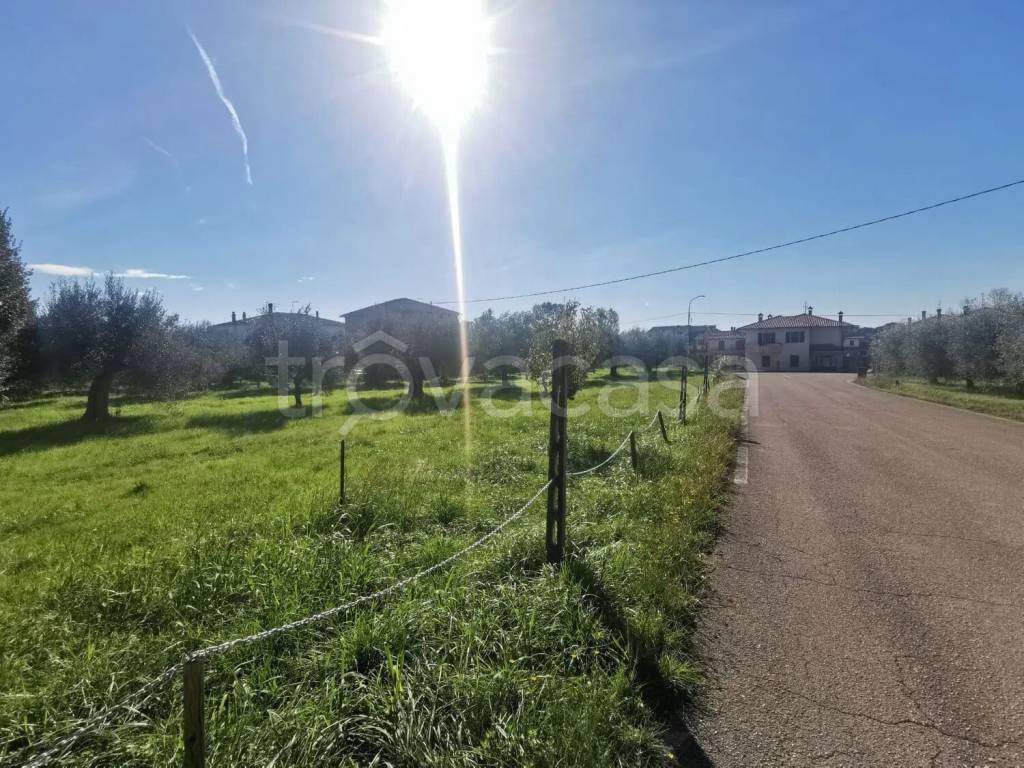 immagine annuncio 3 di 14