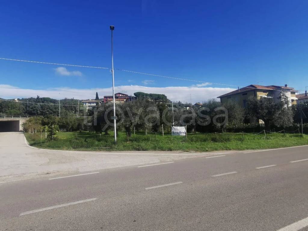 immagine annuncio 4 di 14