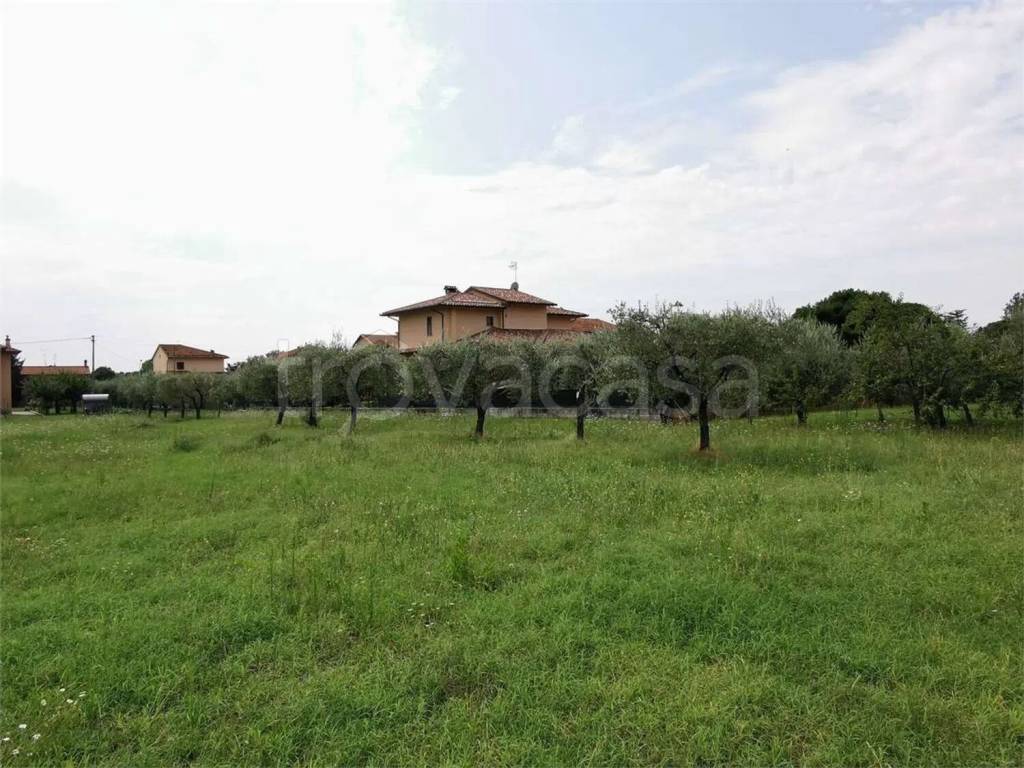 immagine annuncio 1 di 7