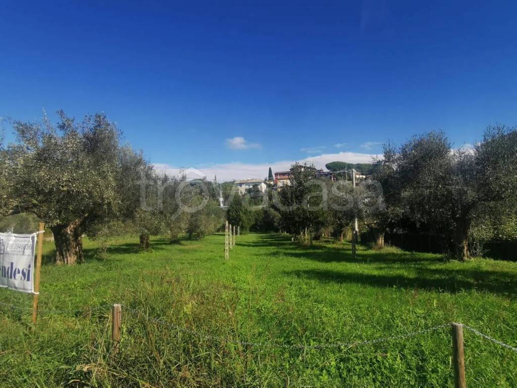 immagine annuncio 5 di 14