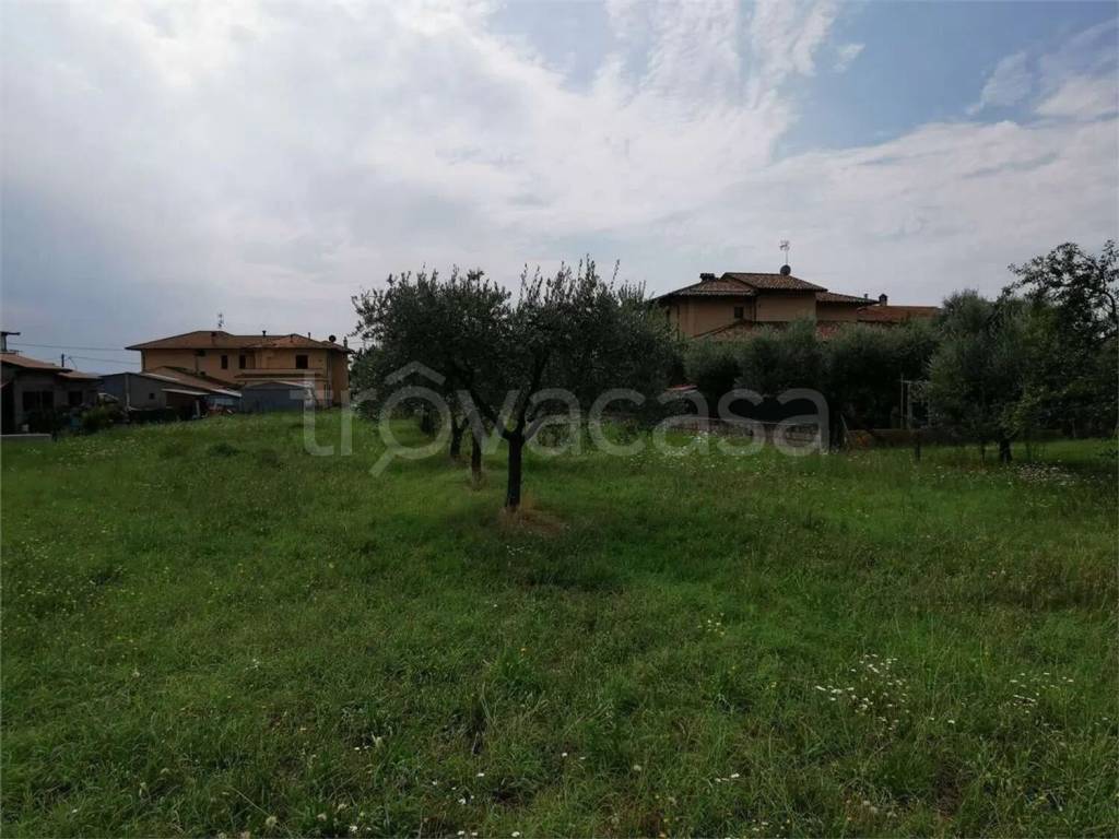 immagine annuncio 2 di 7