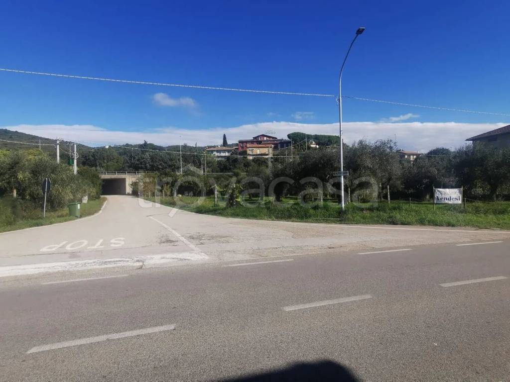 immagine annuncio 6 di 14