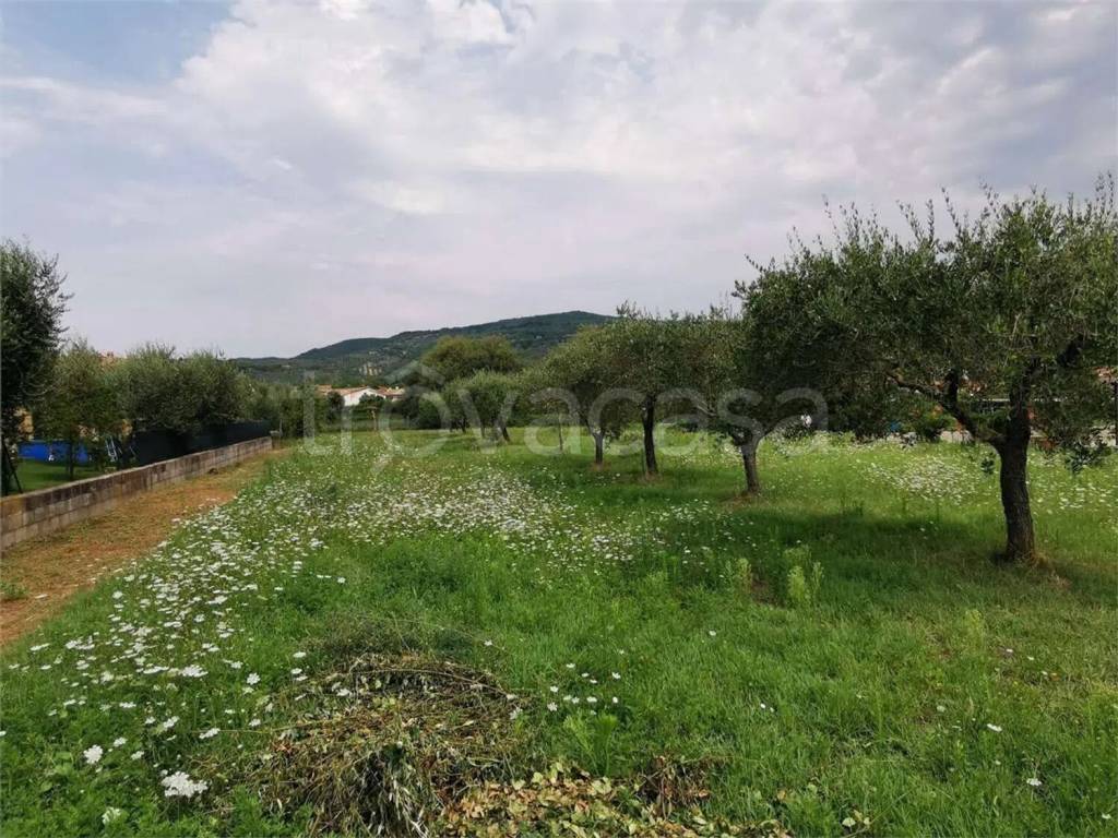 immagine annuncio 4 di 7