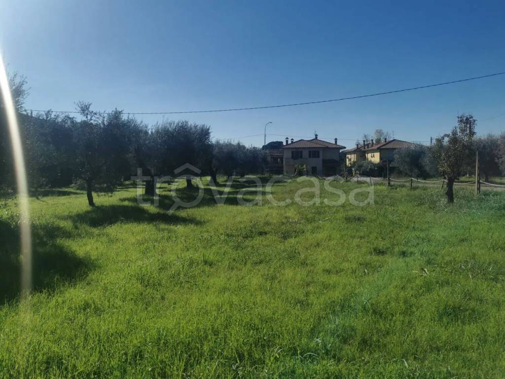 immagine annuncio 8 di 14