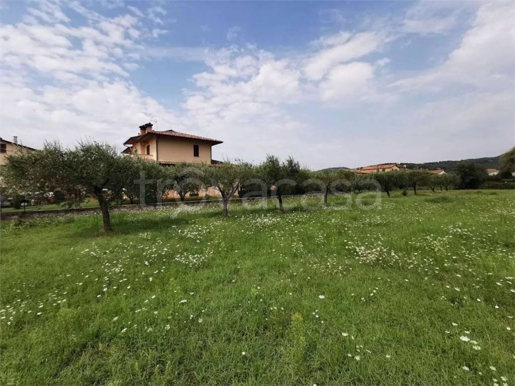 immagine annuncio 5 di 7