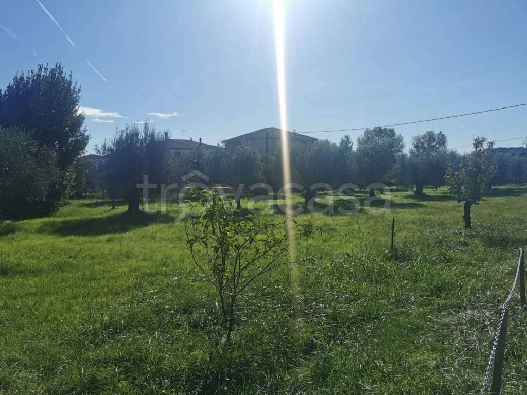 immagine annuncio 9 di 14