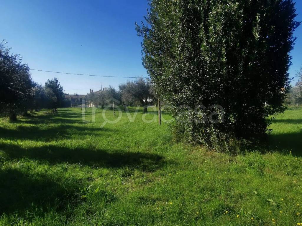 immagine annuncio 12 di 14