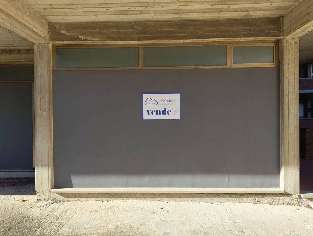 immagine annuncio 7 di 12