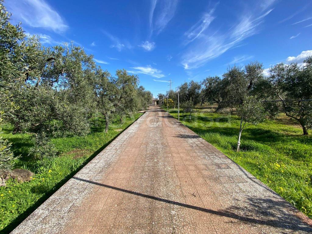 immagine annuncio 1 di 14