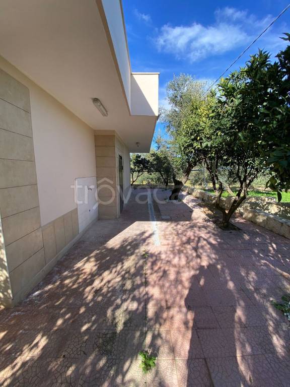 immagine annuncio 4 di 14