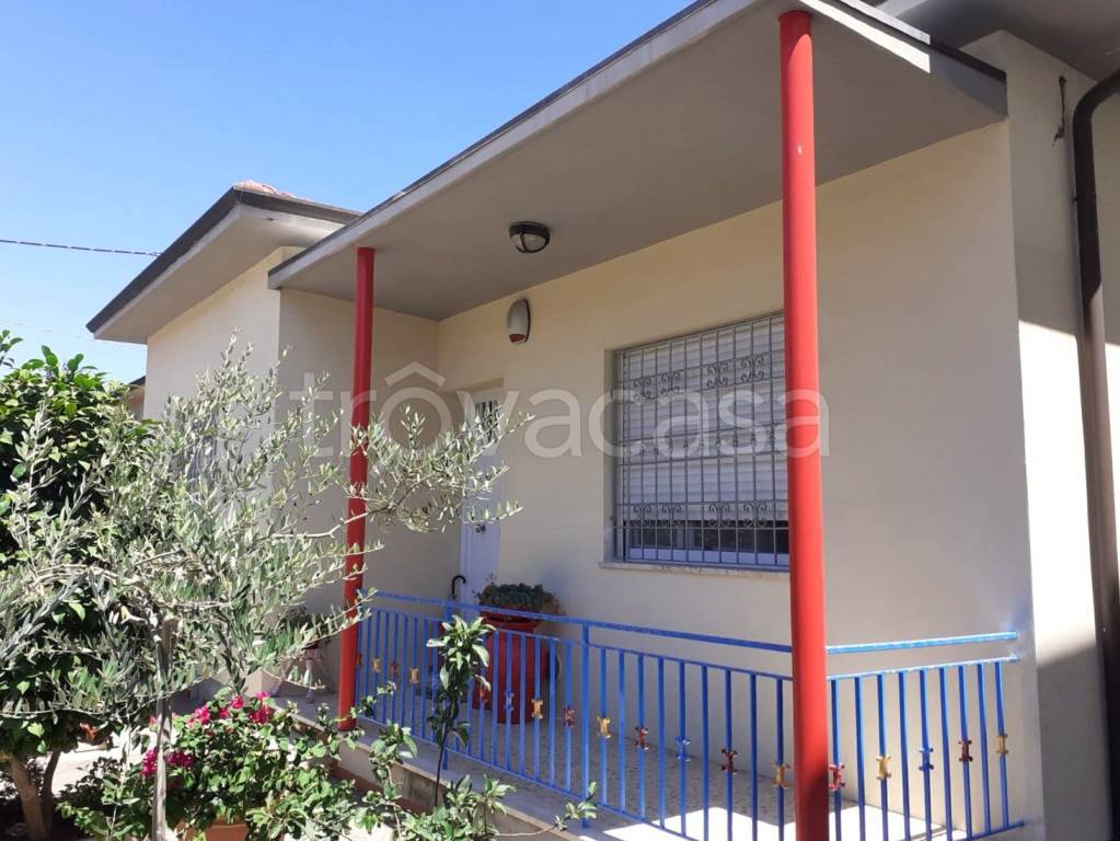 immagine annuncio 1 di 12