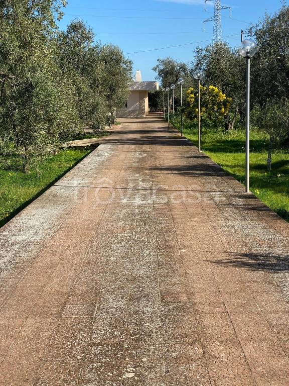 immagine annuncio 6 di 14