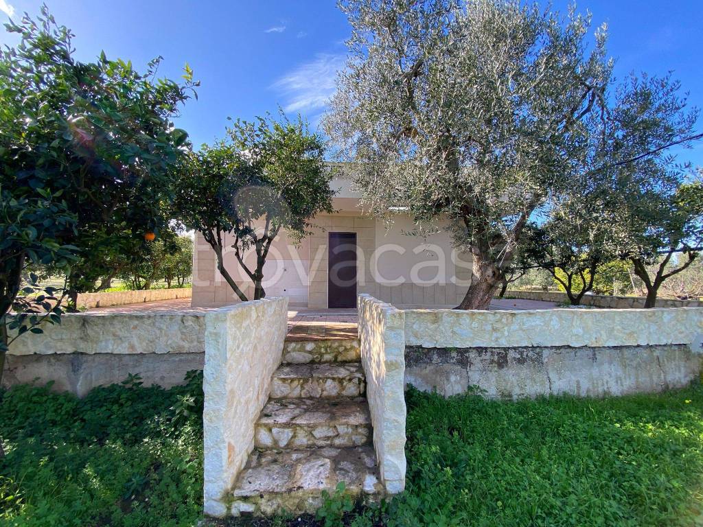 immagine annuncio 10 di 14