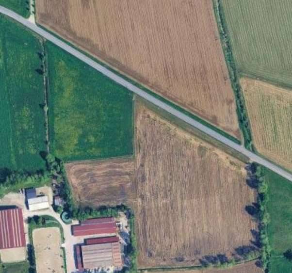 immagine annuncio 10 di 12