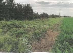 immagine annuncio 7 di 14