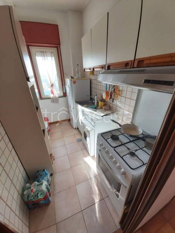 immagine annuncio 5 di 14