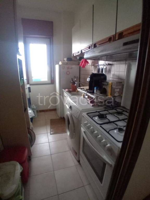 immagine annuncio 6 di 14