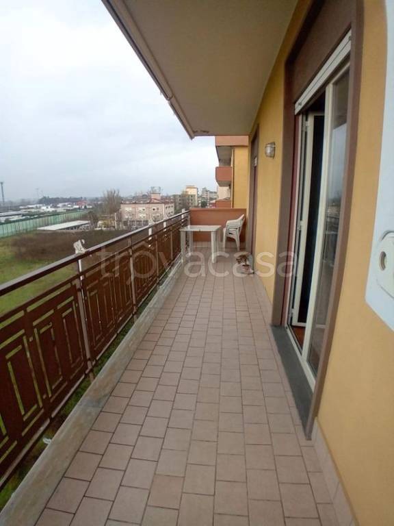 immagine annuncio 9 di 14