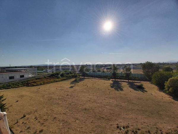 immagine annuncio 11 di 14