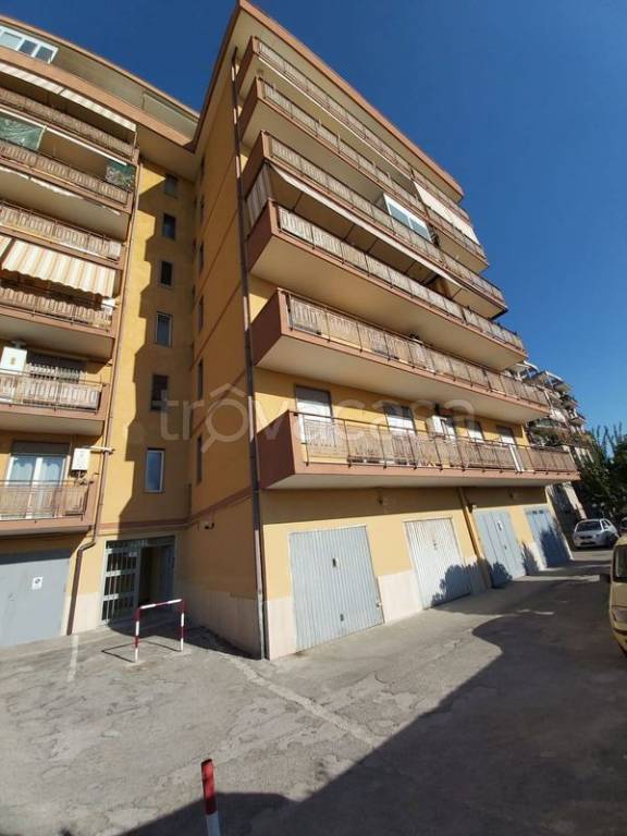 immagine annuncio 13 di 14