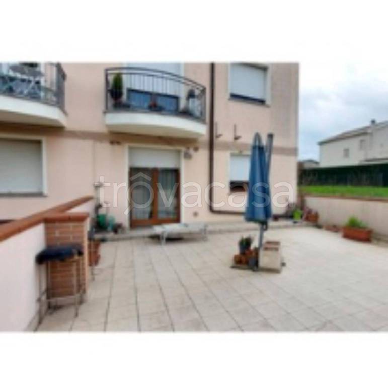 immagine annuncio 3 di 13