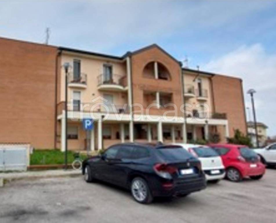 immagine annuncio 7 di 13