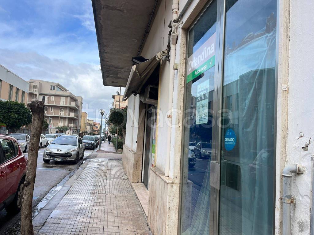 immagine annuncio 2 di 4