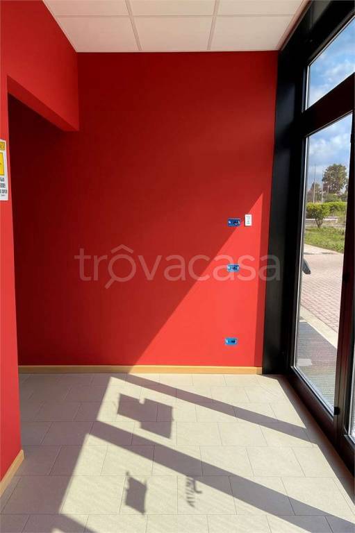 immagine annuncio 2 di 4