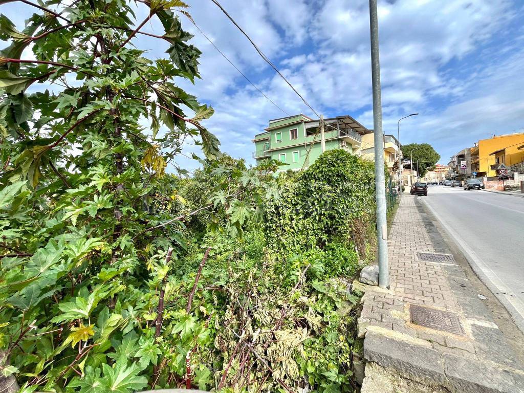 immagine annuncio 4 di 6