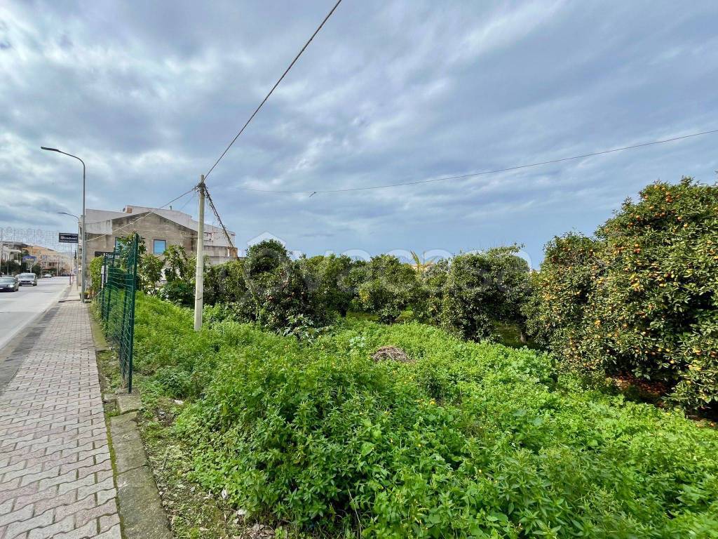 immagine annuncio 5 di 6