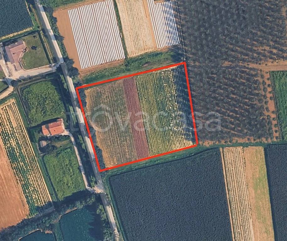 immagine annuncio 3 di 11