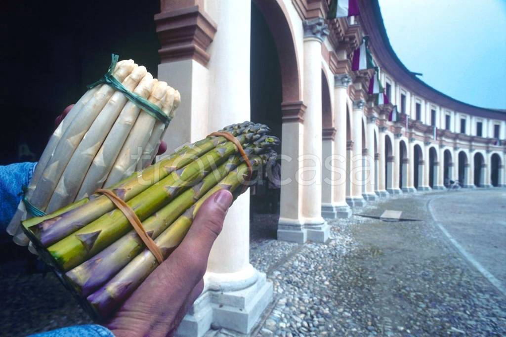 immagine annuncio 5 di 11