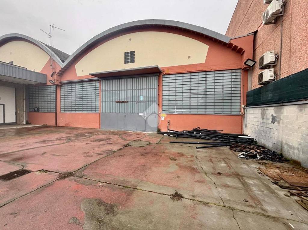 immagine annuncio 7 di 15