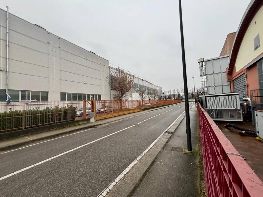 immagine annuncio 12 di 15