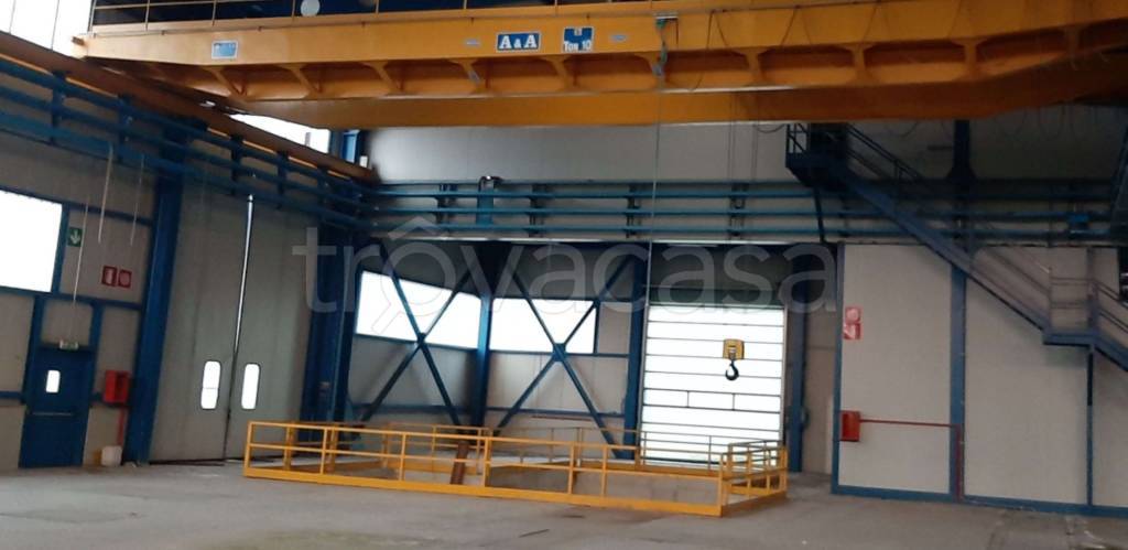 immagine annuncio 2 di 11